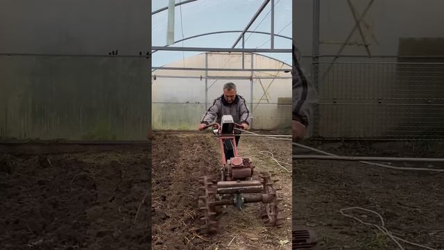 Предзимняя пахота в теплице