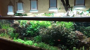 Отчёт по светильникам wrgb.Внимание! Применение кулеров для охлаждения обязательно!