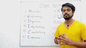 Organ systems of the Human Body | Anatomy and Physiology | Mnemonic #mlt #nursing
