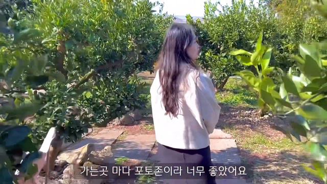 ENG) 제주도여행 브이로그 ✈️ 뚜벅이여행 이게 낭만 아니고 뭔데 🍊내가 담은 제주, 아침미소목장, 동문야시장, 고기국수, 노티드도넛, 흑돼지, 이호테우해변, 애월, 청년미남들