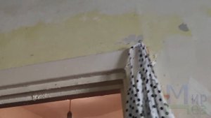 Советы как защититься от тараканов в квартире. МирДез