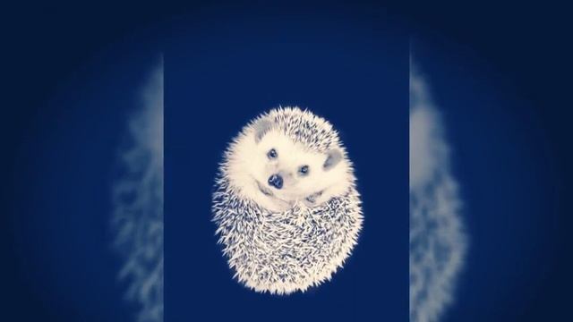 Очень классные обои смотреть онлайн