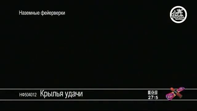 НФ504012 Крылья удачи смотреть онлайн
