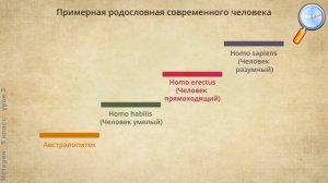 История 5 класс Урок№3   Первобытные собиратели и охотники