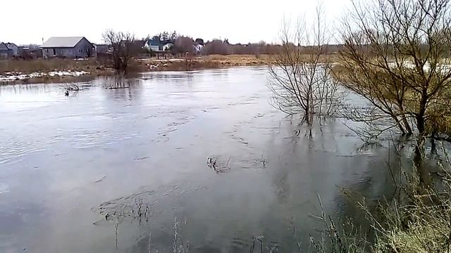 Река Оптуха половодье смотреть онлайн