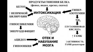 Лекция 18.
Все факультеты.
Патофизиология печени. Желтухи.
