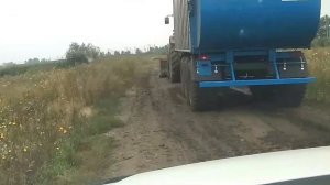 Трактор Террион на перевозке силоса с прицепом Ярославич