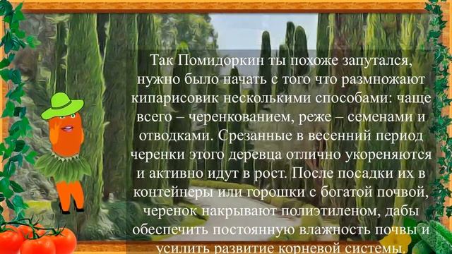 ОБЯЗАТЕЛЬНО ПОСАДИ ЕГО ДЛЯ КРАСИВОГО САДА! смотреть онлайн