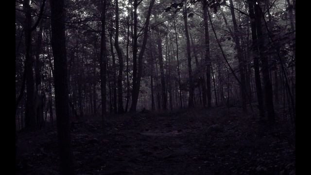 ЧТО ЖЕ ТАКОЕ КРИПИПАСТА НА САМОМ ДЕЛЕ смотреть онлайн