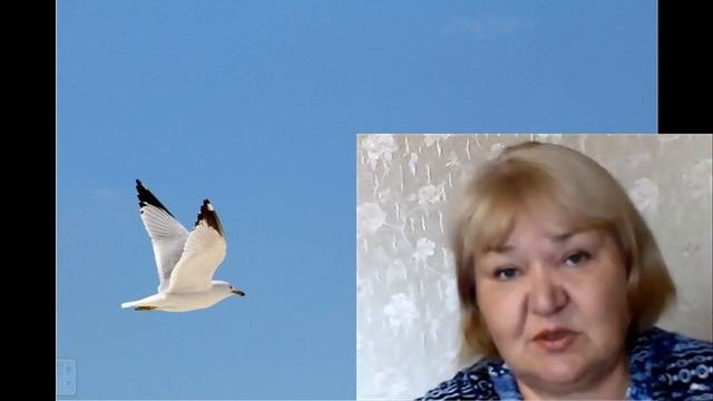 Дмитрий Чернышов.  Отзыв про обучение