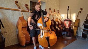 Контрабас №133