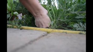 И тpопинка, и лесок,в поле каждый колосок!Речка, небо голубое - это все мое, pодное!