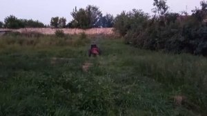 Самодельный трактор и сегментная косилка