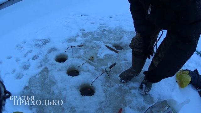 РЫБАЛКА НА ТАЕЖНОЙ РЕКЕ / ПЕЧОРА