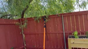 США Наводим порядок за забором/Косим траву/Обрезаем иву/Кто живёт по соседству?