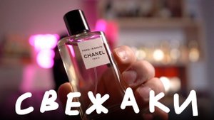 10 ЛУЧШИХ СВЕЖАКОВ НА ЛЕТО