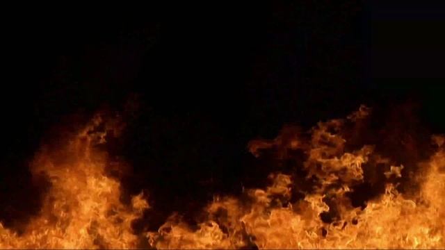 Илья Таранов. Владислав Витковский смотреть онлайн