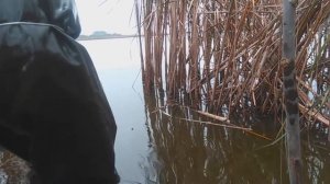 СУПЕР УЛОВ!!! РЫБАЛКА НА РЕЗИНКУ.