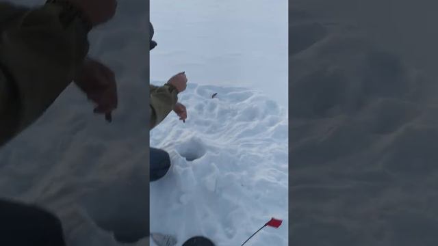 зимняя рыбалка на любимой речке смотреть онлайн