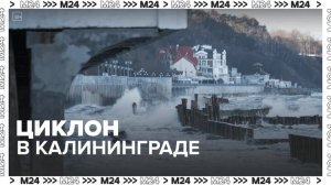 Циклон в Калининграде и лиса на горнолыжном курорте в Шерегеше — Москва 24
