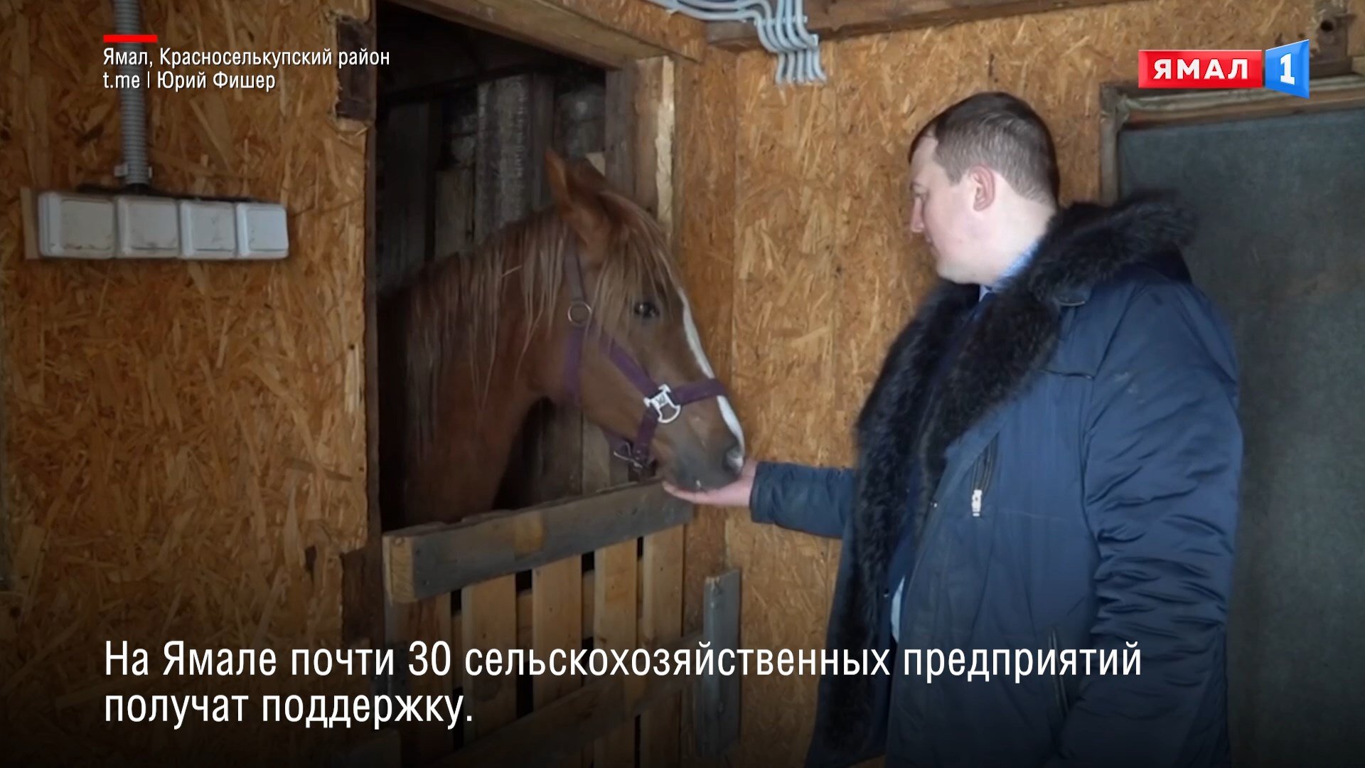 На Ямале почти 30 сельскохозяйственных предприятий получат поддержку