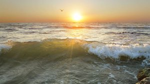 Август - песня на мои стихи