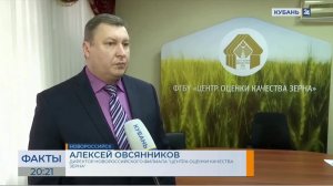 В Новороссийске «Центром оценки качества зерна» в 2023 г на экспорт проверено более 50 млн т зерна