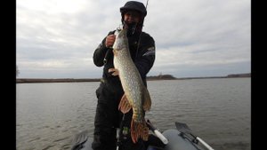 Джиговые русловые щуки. Раттлины в пролете