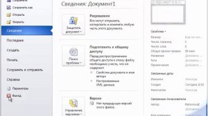 Word 2010 для начинающих 2 Вкладка меню Файл