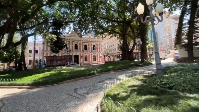 Бася повстречала 150-летнее дерево в центре города! смотреть онлайн