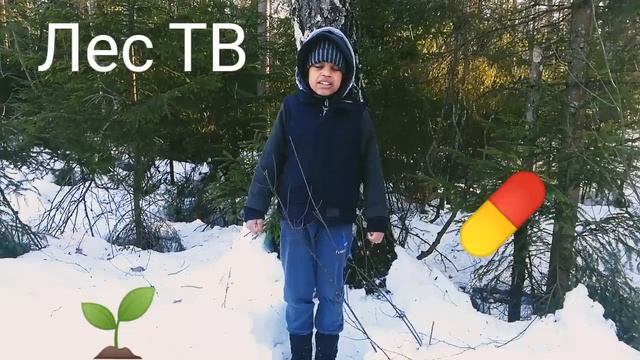 Про березу. Лес-ТВ смотреть онлайн