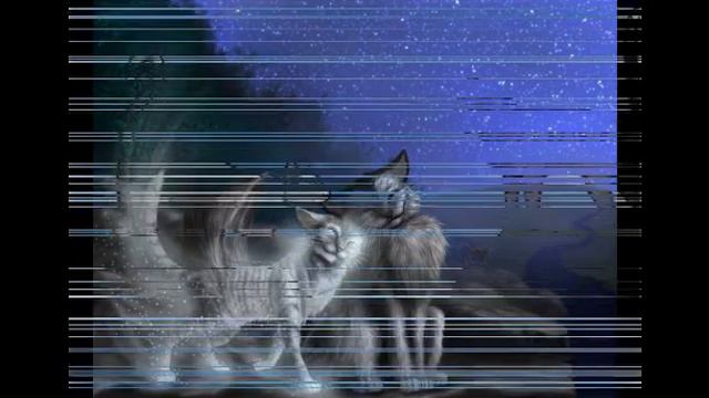Коты-Воители Крутобок и Серебрянка.
