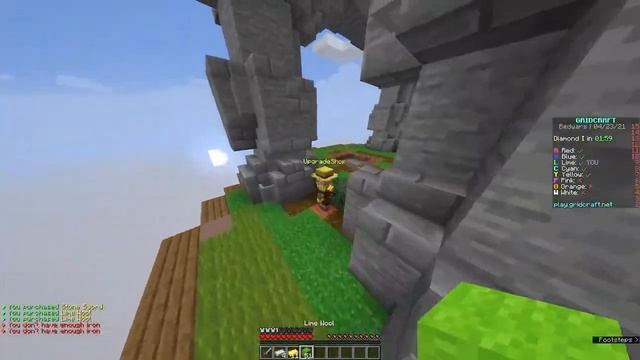 I Played a BEDROCK and JAVA Crossplay Server