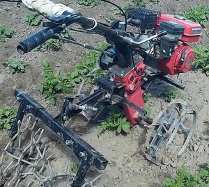 Опять ежики для мотоблока.