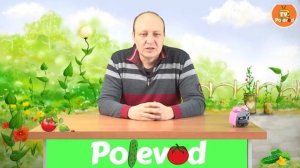 ЖЕЛЕЗО и его значение для растений