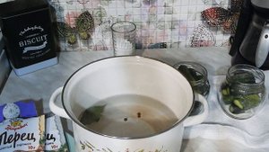 маринованные маленькие корнишоны ?