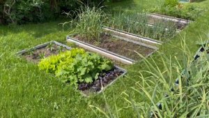Оцинкованные грядки. Как собираются, как выглядят на даче. Спустя 1,5 сезона