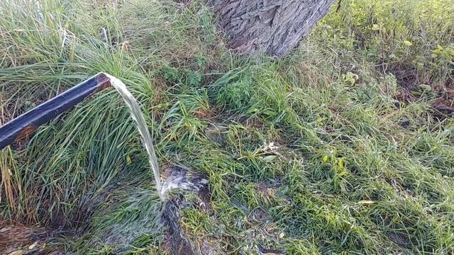 Поездка до реки Которосль     #велотуризм #лайтовый