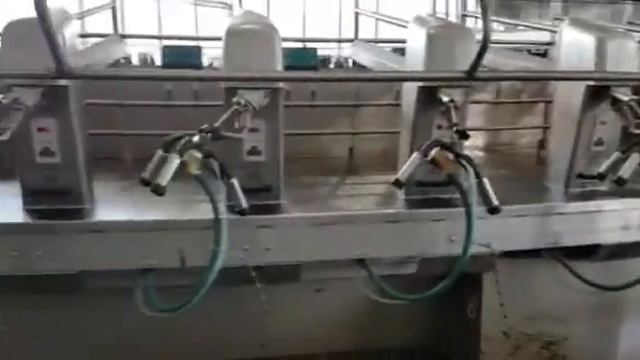 Доильный зал Карусель смотреть онлайн