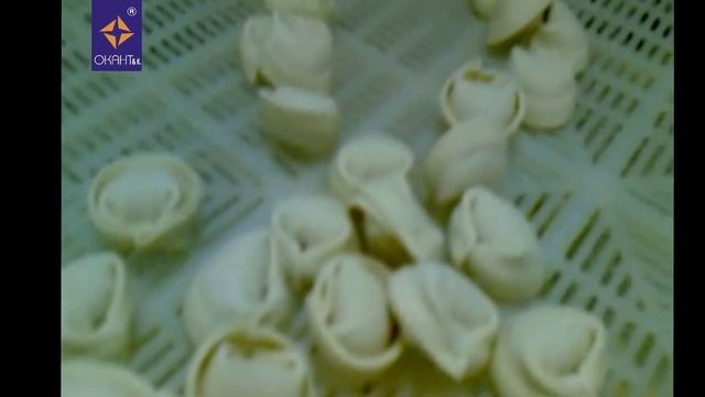 Пельменный аппарат LB 250 Италия смотреть онлайн