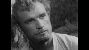Неотправленное письмо (1959 - 1960) - Я этого чувства всю свою жизнь ждал