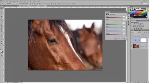 160#  color look - adjustment layer ريتاتش :: Adobe Photoshop cc2014