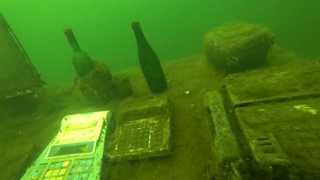 Офисный планктон в естественной среде обитания смотреть онлайн