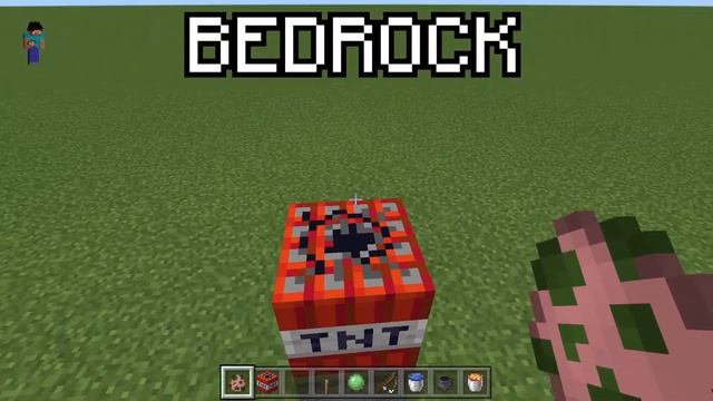 java vs bedrock #13