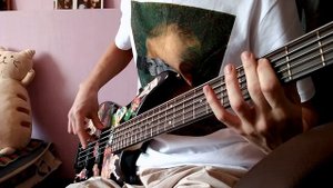 Animal ДжаZ - Три полоски (bass cover)