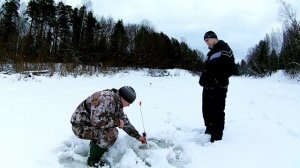 ✔️ Рыбалка на жерлицы Поездка к месту прошлогоднего замора рыбы