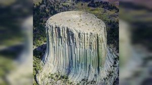 На земле лесов нет, короткая версия