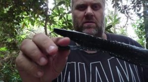 Нож с рукоятью из рога оленя и буйвола.