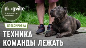 Команда «Лежать» — Техника выполнения