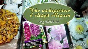 Покупки в Леруа Мерлен – пионы, роза и разное | Vlog  дача как есть 10.02.2024